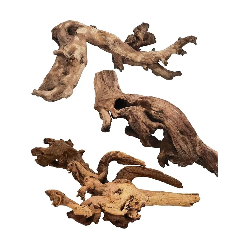 Aquarium Fish Diseases - Natural Driftwood for Aquarium Decoration Fish