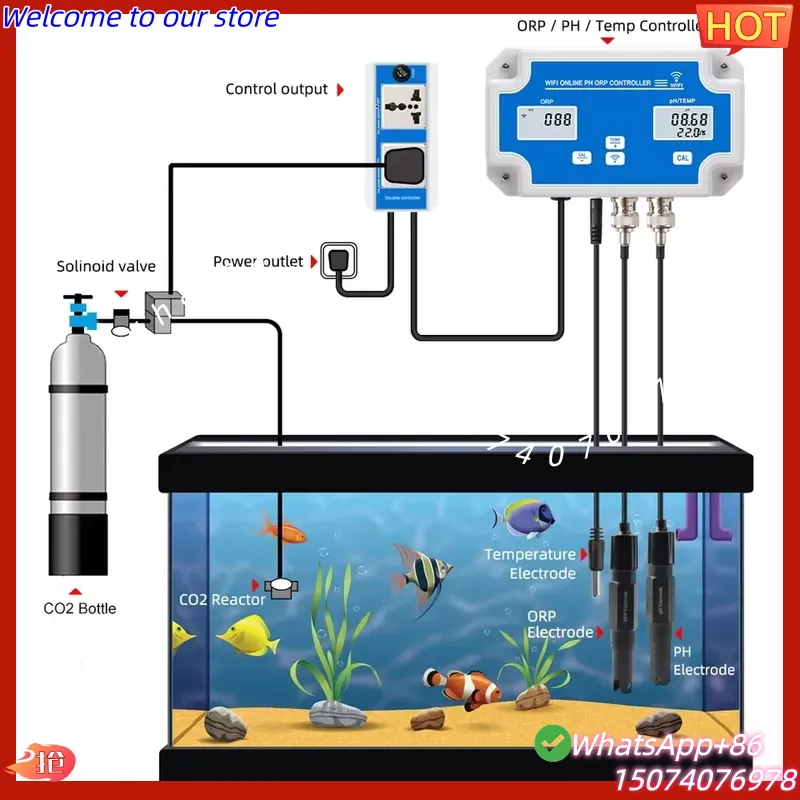 2026 Wireless WiFi Online Cont - Aquarium Fish In Online recension och pris