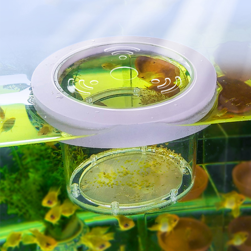Suspended Fish Tank Breeding I - Aquarium Fish And Supplies recension och pris