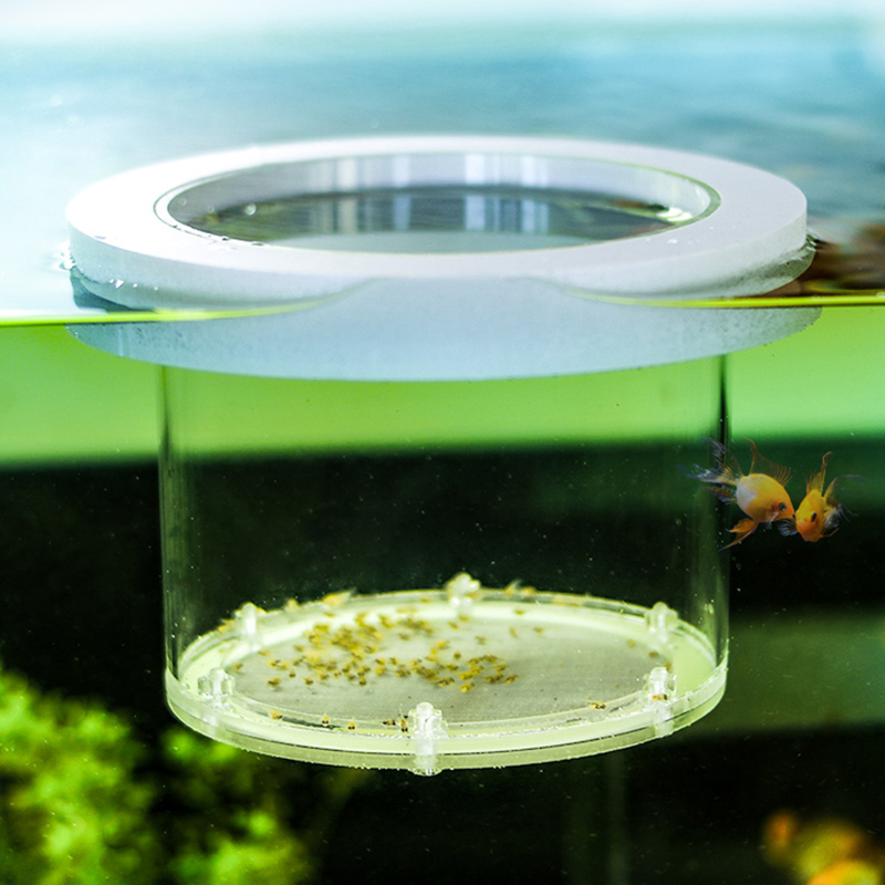 Suspended Fish Tank Breeding I - Aquarium Fish And Supplies recension och pris