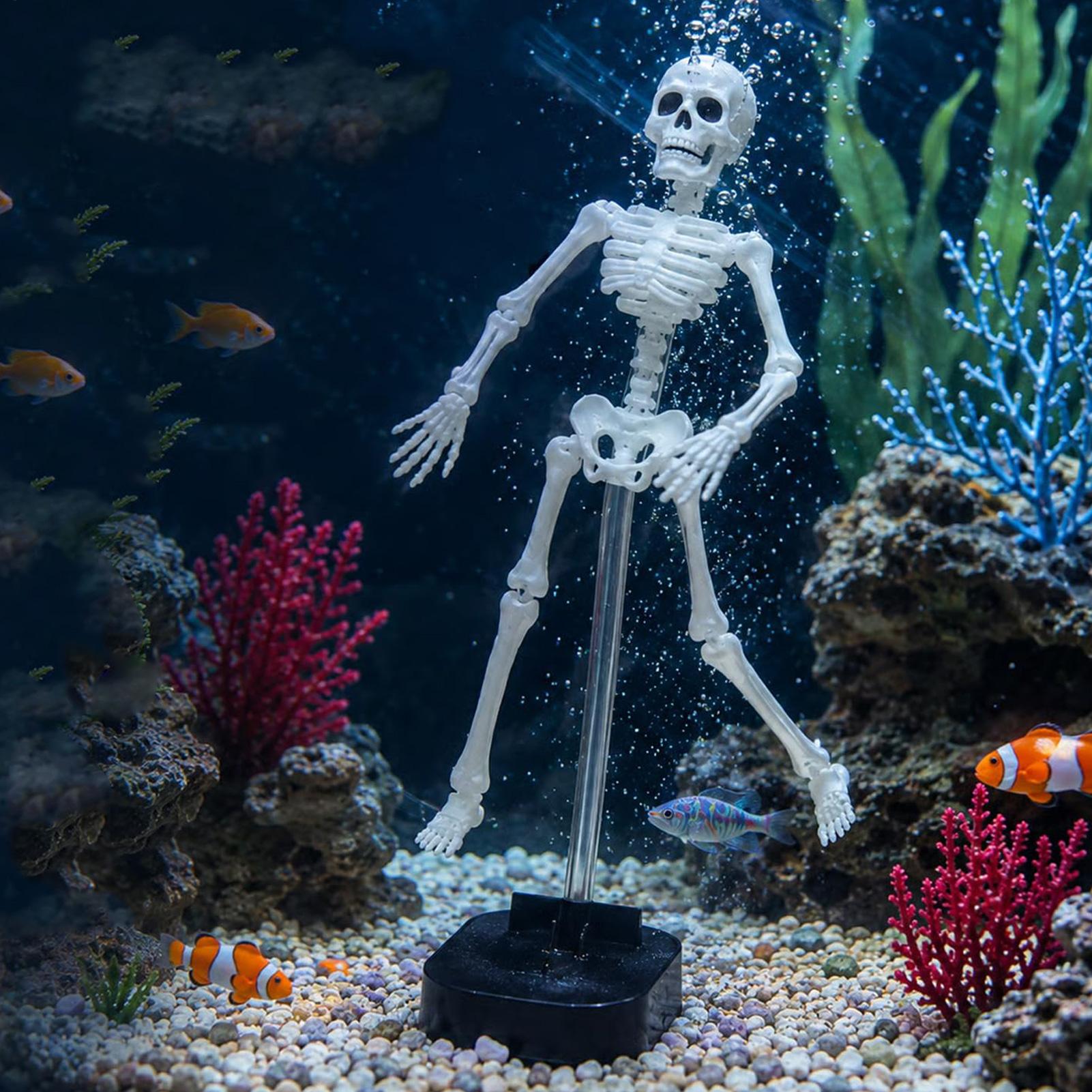 Aquarium Skeleton Decor Hallow - Aquarium Fish Diseases recension och pris