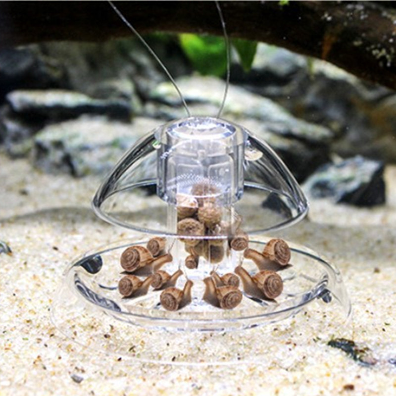 1PCS Fish Tank Aquarium Cleane - Aquarium Fish Eggs recension och pris