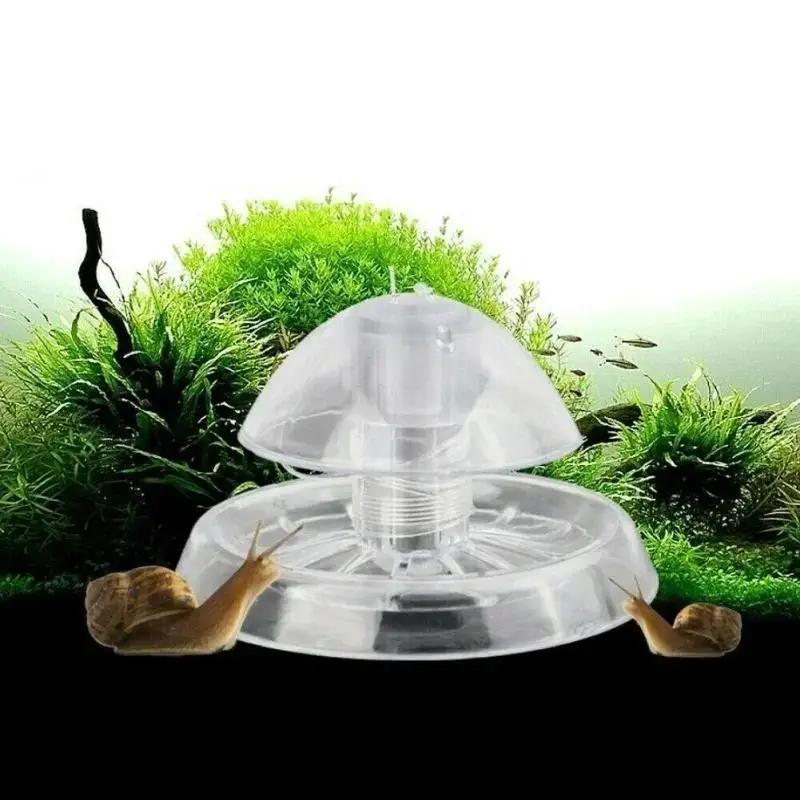 2026 New 6/8CM Clear Plastic S - Aquarium Fish And Supplies recension och pris