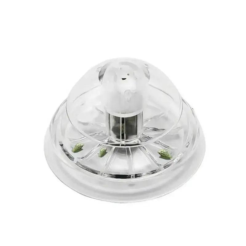 2026 New 6/8CM Clear Plastic S - Aquarium Fish And Supplies recension och pris