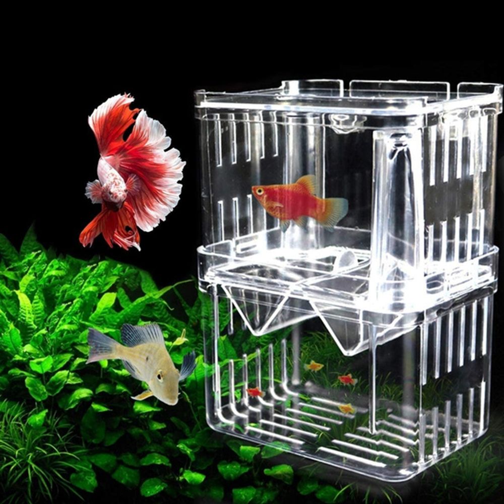 Tank Aquarium For Baby Fishes  - Aquarium Fish Reproduction recension och pris