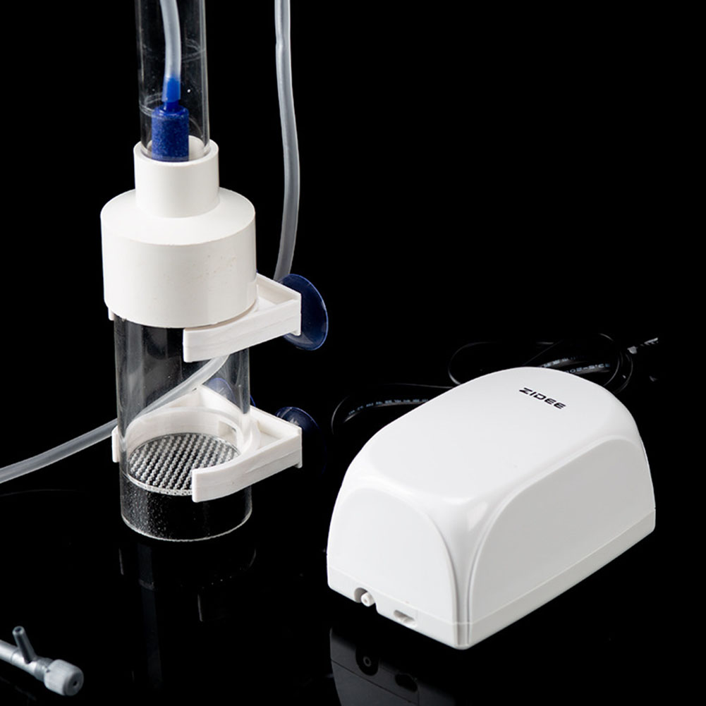 40mm Incubator Fish Hatchery E - Aquarium Fish Eggs recension och pris