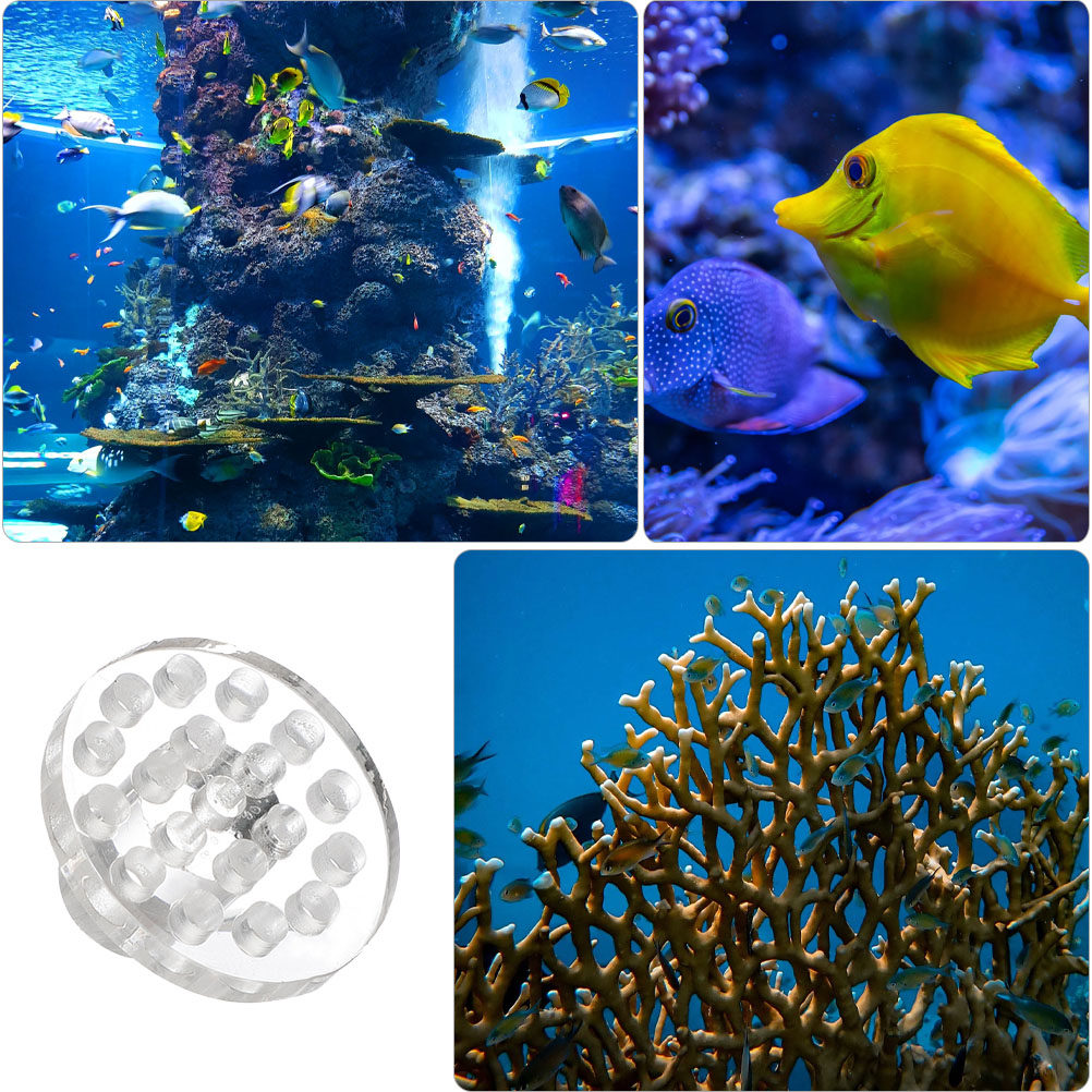 10Pcs Acrylic Coral Frag Rack  - Aquarium Fish And Supplies recension och pris