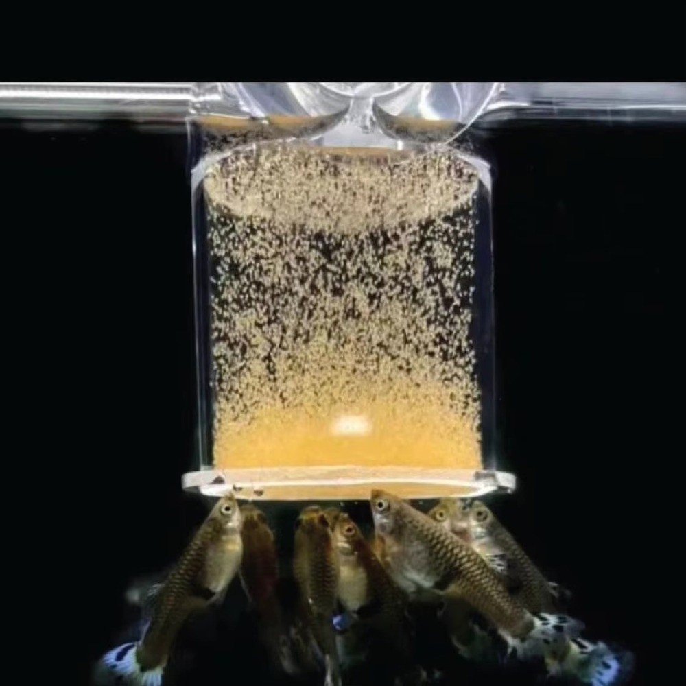 Acrylic Brine Shrimp Feeder Fi - Aquarium Fish Eggs recension och pris