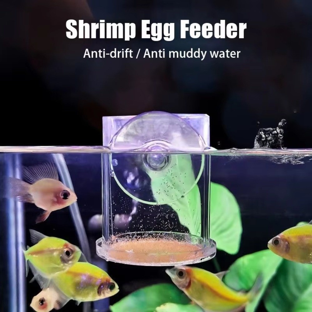 Acrylic Brine Shrimp Feeder Fi - Aquarium Fish Eggs recension och pris