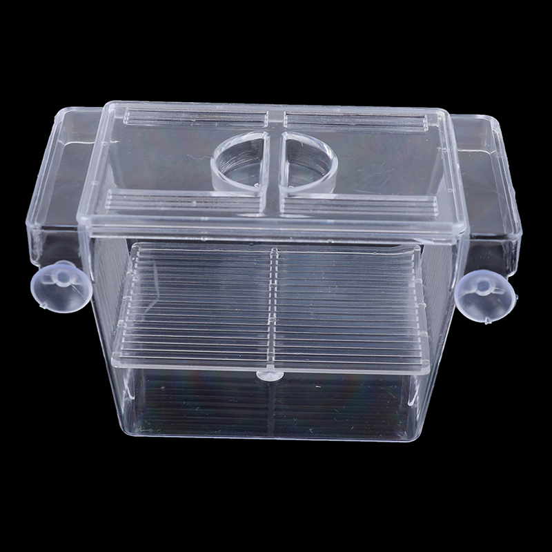 Aquarium Fish Tank Guppy Doubl - Aquarium Fish Eggs recension och pris