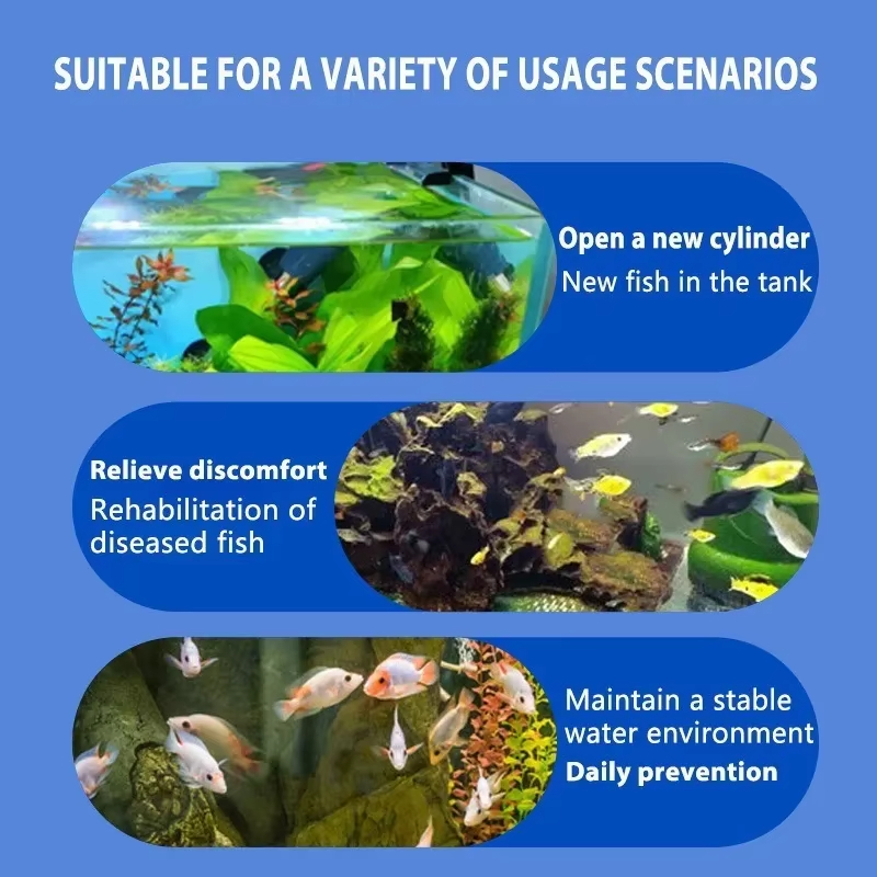 SIKEZHAN Fish Disease Treatmen - Aquarium Fish Diseases recension och pris