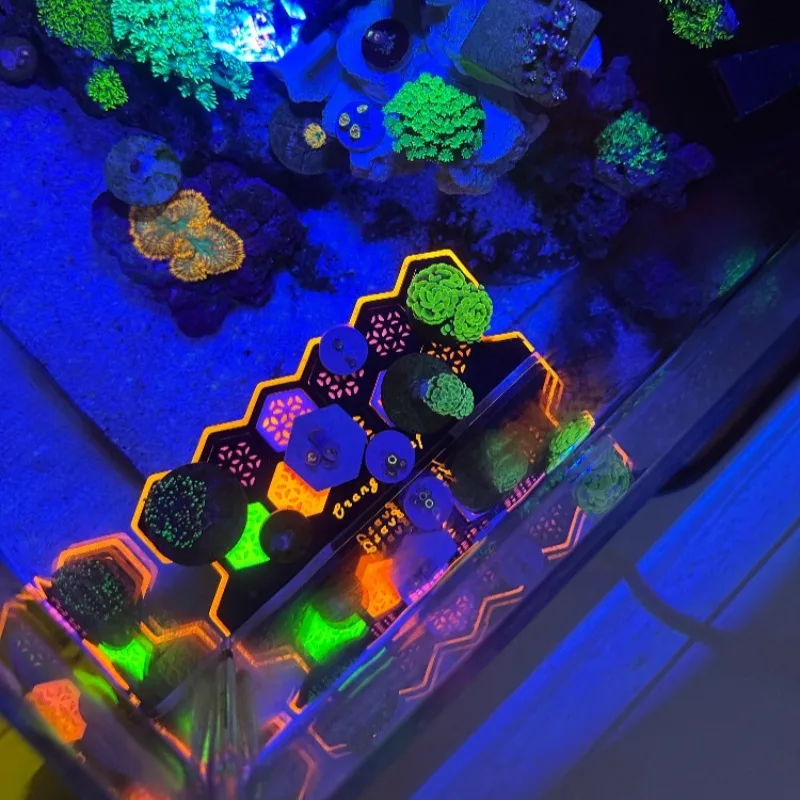 Fluorescent Coral Frag Plugs L - Aquarium Fish Reproduction recension och pris