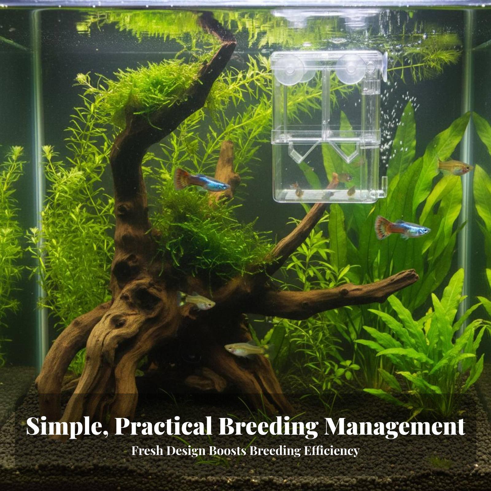 Double Layer Aquarium Breeding - Aquarium Fishes recension och pris