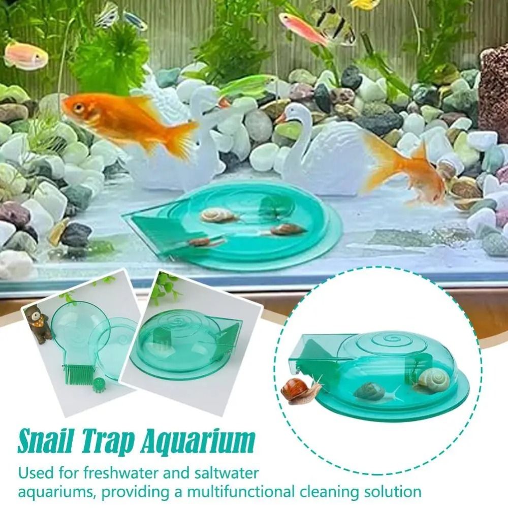 Freshwater Saltwater Aquarium  - Aquarium Fish Eggs recension och pris