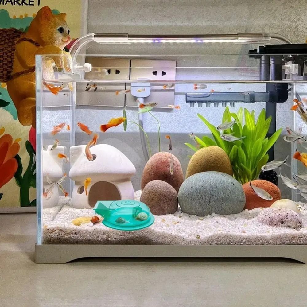 Freshwater Saltwater Aquarium  - Aquarium Fish Eggs recension och pris