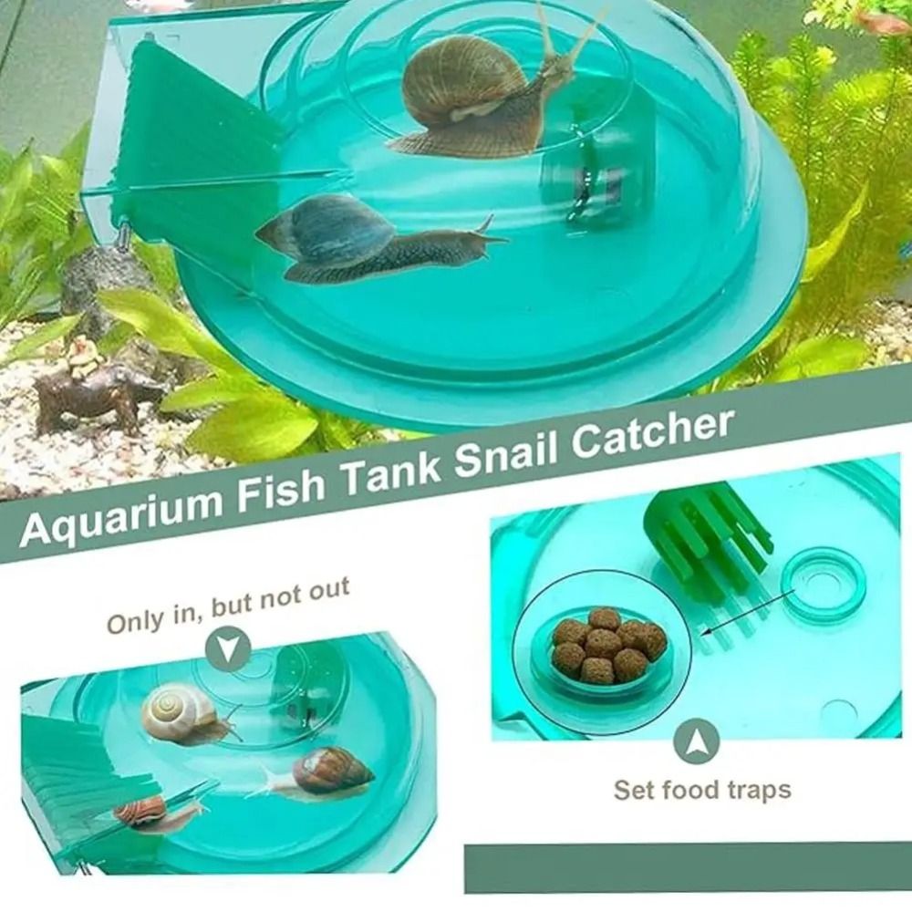 Freshwater Saltwater Aquarium  - Aquarium Fish Eggs recension och pris