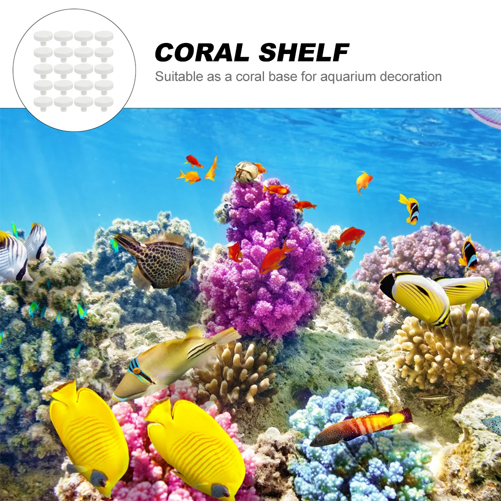 20Pcs Coral Glue Reef Safe Cor - Aquarium Fish Reproduction recension och pris