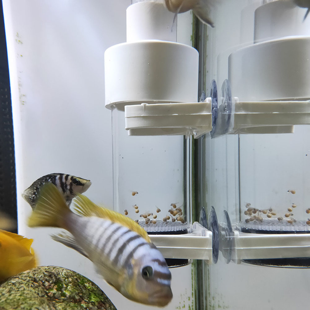 40mm Aquarium Cichlids Hatcher - Aquarium Fish Eggs recension och pris