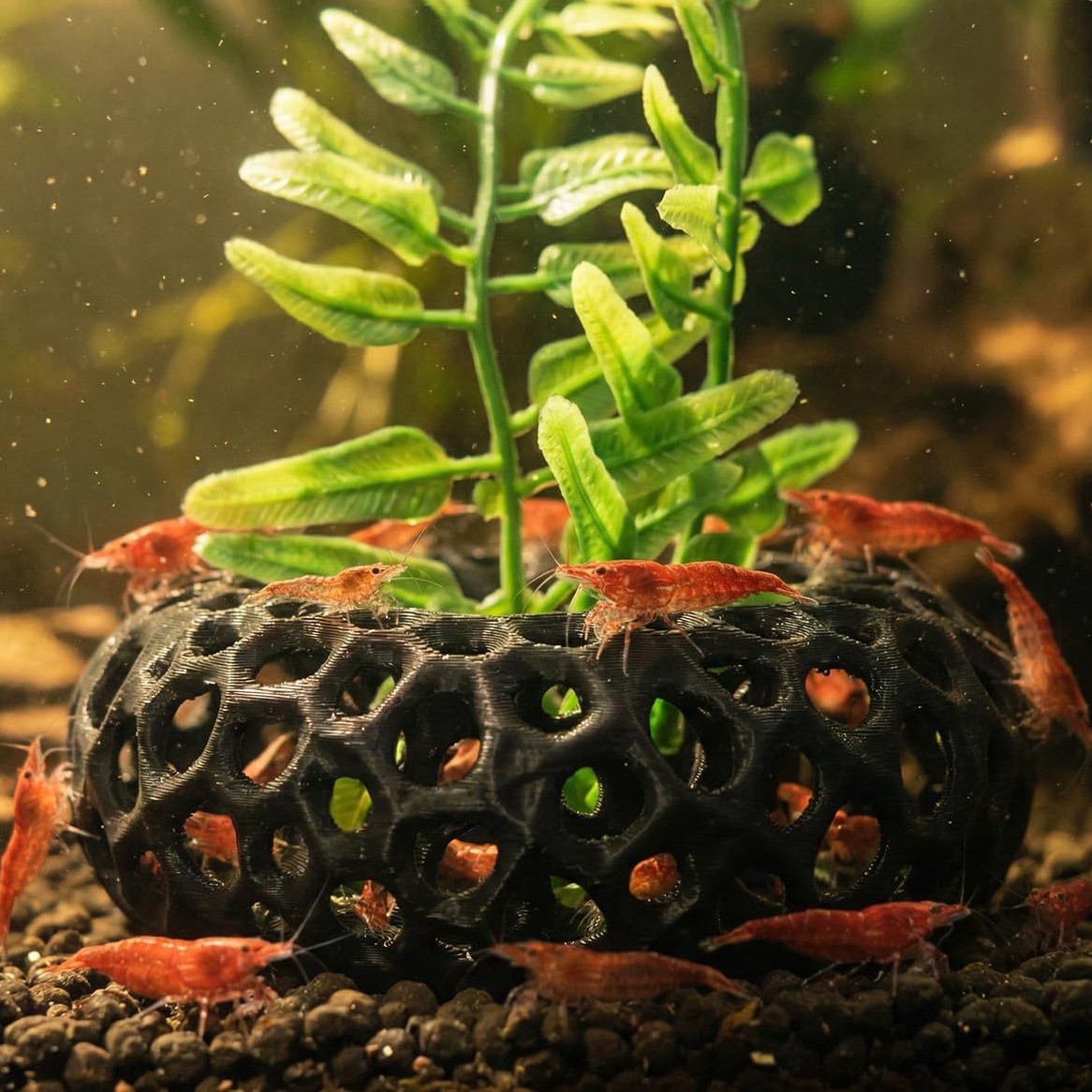 Hot selling 3D printed aquariu - Aquarium Fish Reproduction recension och pris