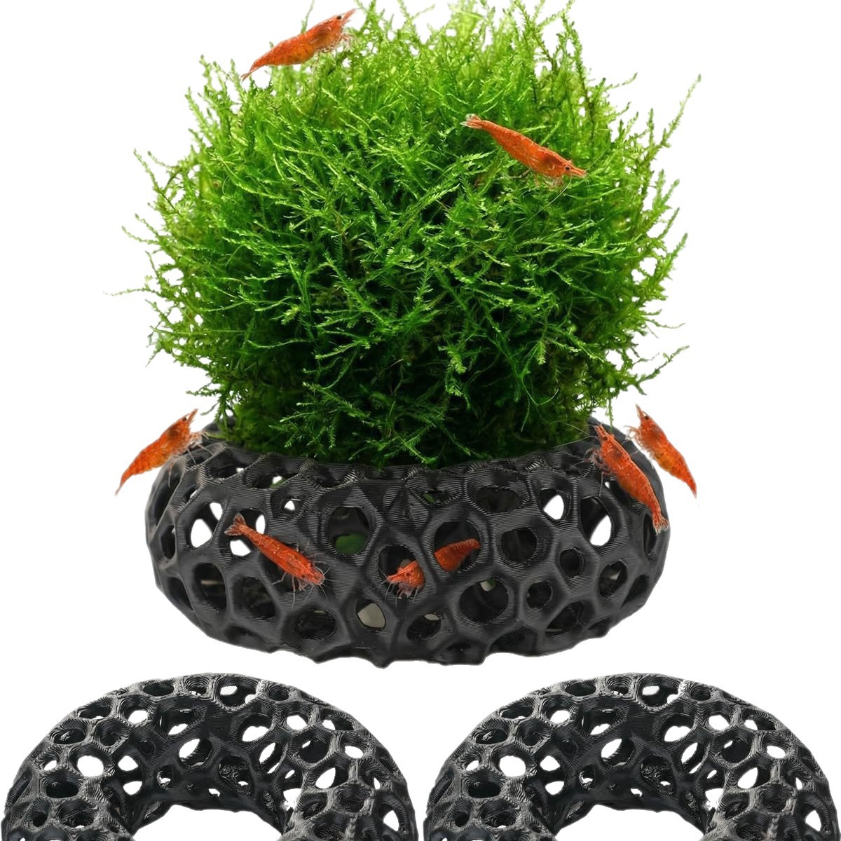 Hot selling 3D printed aquariu - Aquarium Fish Reproduction recension och pris