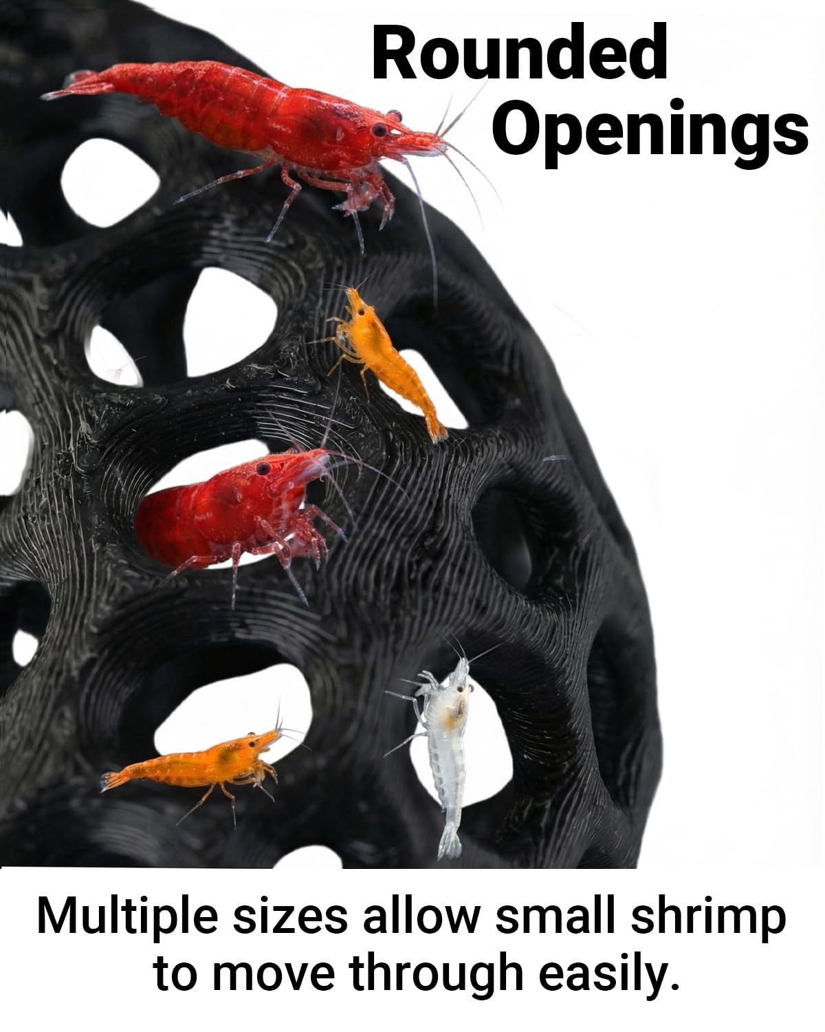 Hot selling 3D printed aquariu - Aquarium Fish Reproduction recension och pris