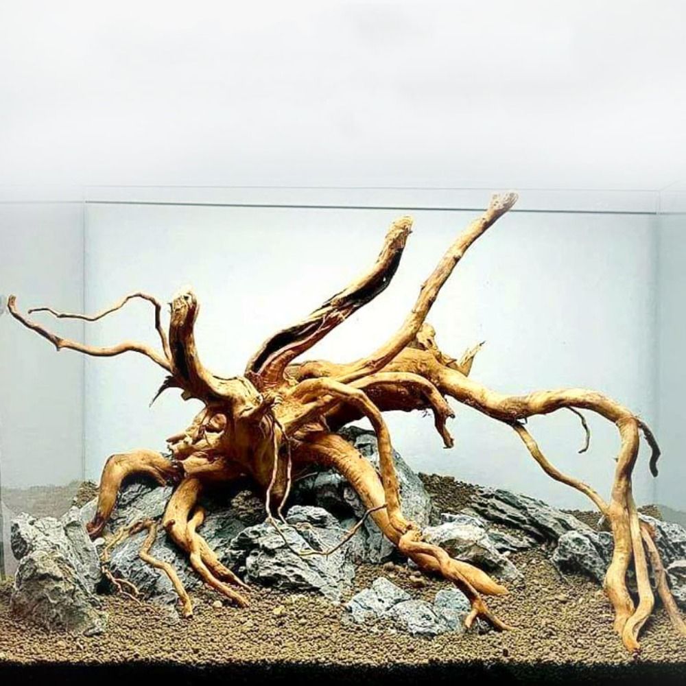 Natural Tree Trunk Aquarium De - Aquarium Fish Diseases recension och pris