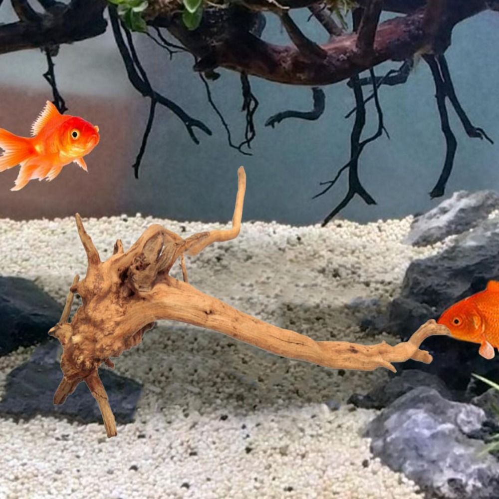 Natural Tree Trunk Aquarium De - Aquarium Fish Diseases recension och pris