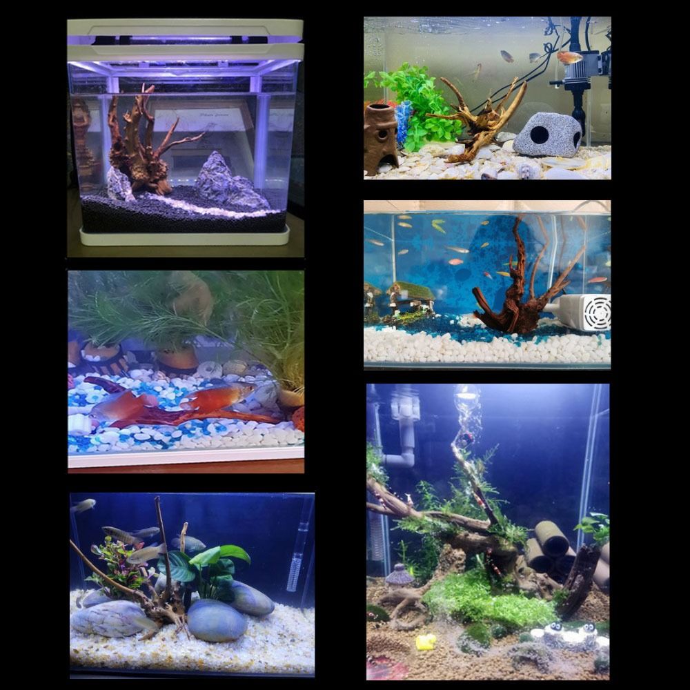 Natural Tree Trunk Aquarium De - Aquarium Fish Diseases recension och pris
