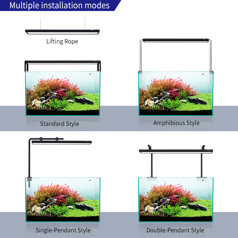 V300SE Best Price 30 40cm Fres - Aquarium Fish And Price recension och pris