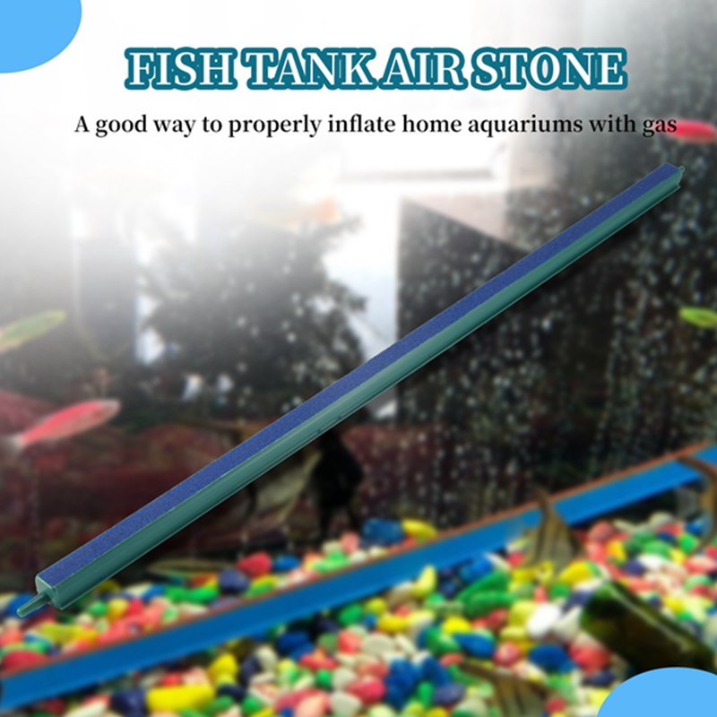Fish Tank Aquarium 20