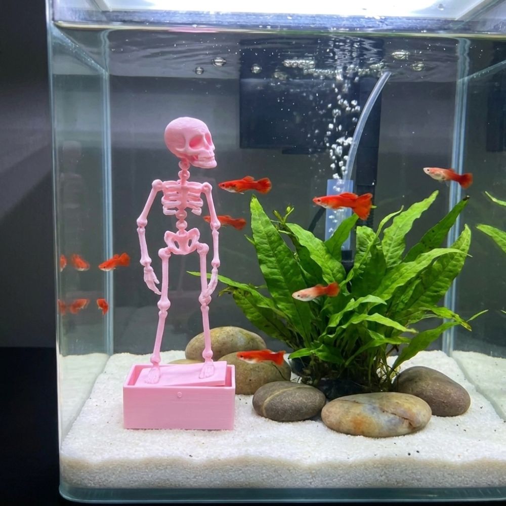 3D Printed Dancing Skeleton Aq - Aquarium Fish Diseases recension och pris
