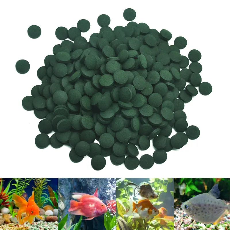 50-300Pcs High Purity Spirulin - Aquarium Fish Eggs recension och pris