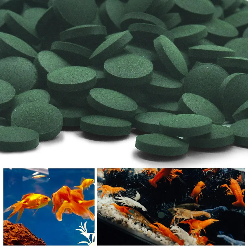 50-300Pcs High Purity Spirulin - Aquarium Fish Eggs recension och pris