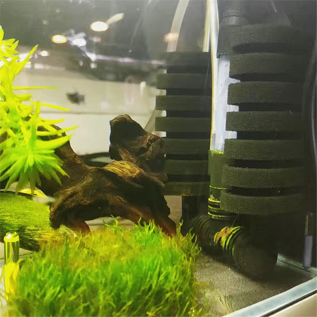 【MUST-HAVE LIST】 Aquarium Filt - Aquarium Fish List recension och pris