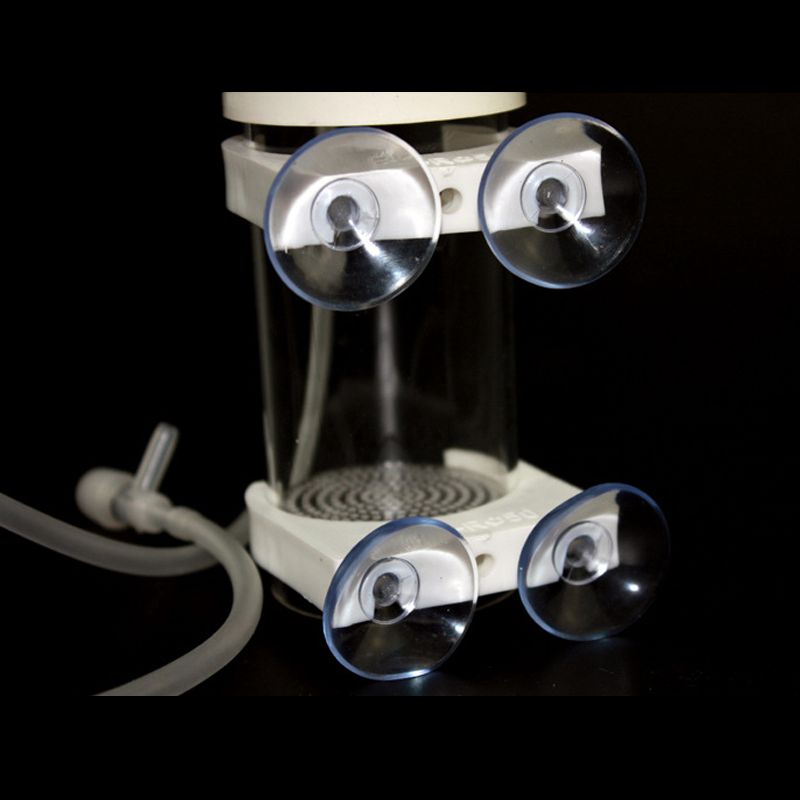 Aquarium Cichlids Tumbler Fish - Aquarium Fish Eggs recension och pris