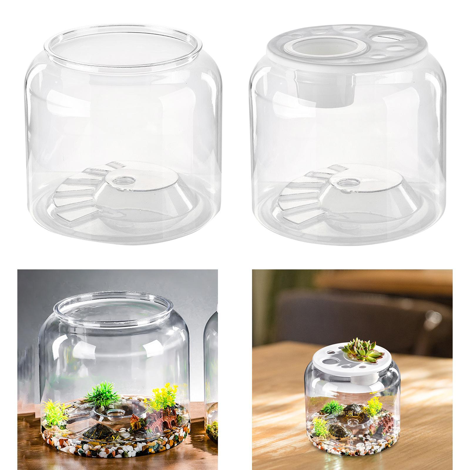 Turtle Tank Tabletop Reptile H - Draw Fish Aquarium recension och pris