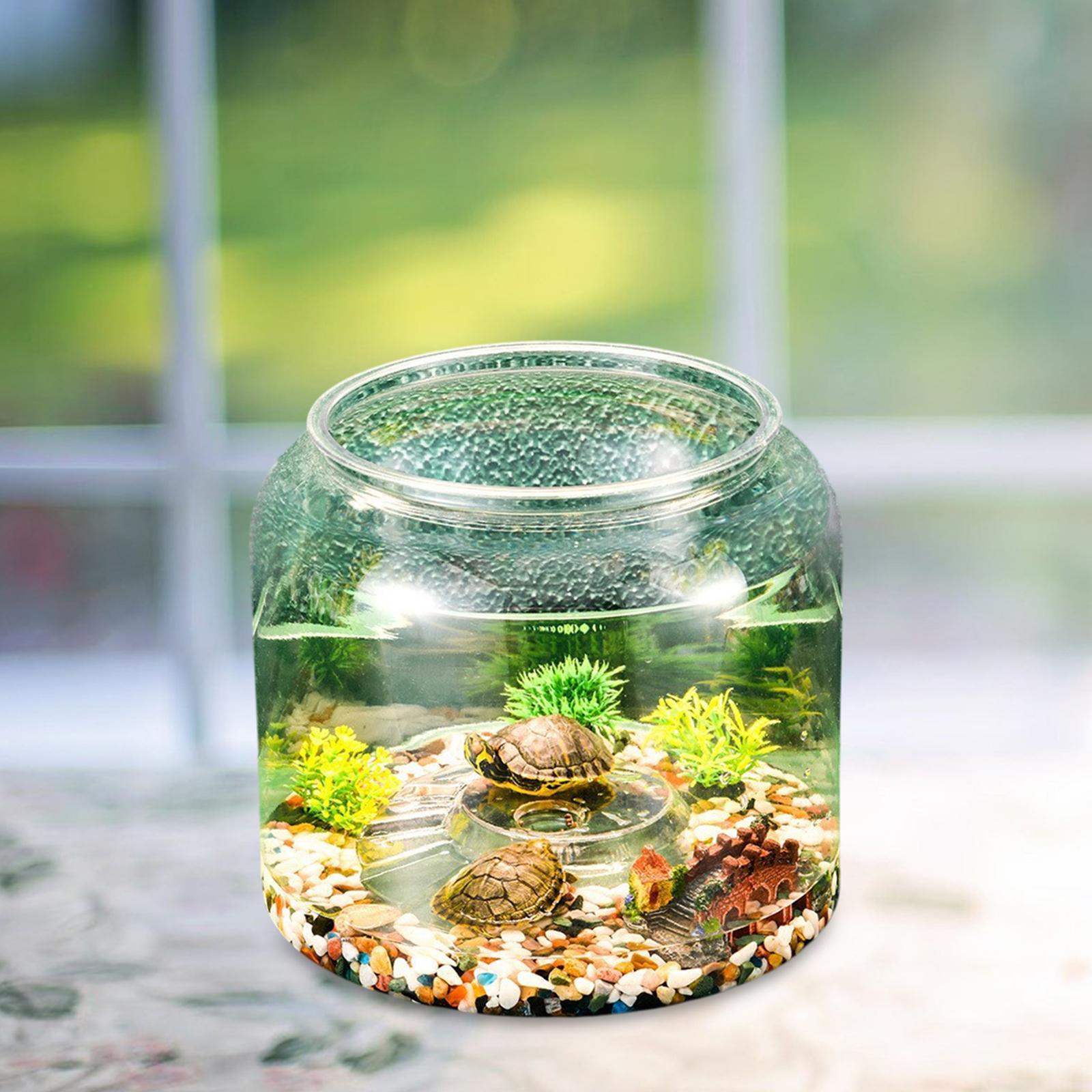 Turtle Tank Tabletop Reptile H - Draw Fish Aquarium recension och pris