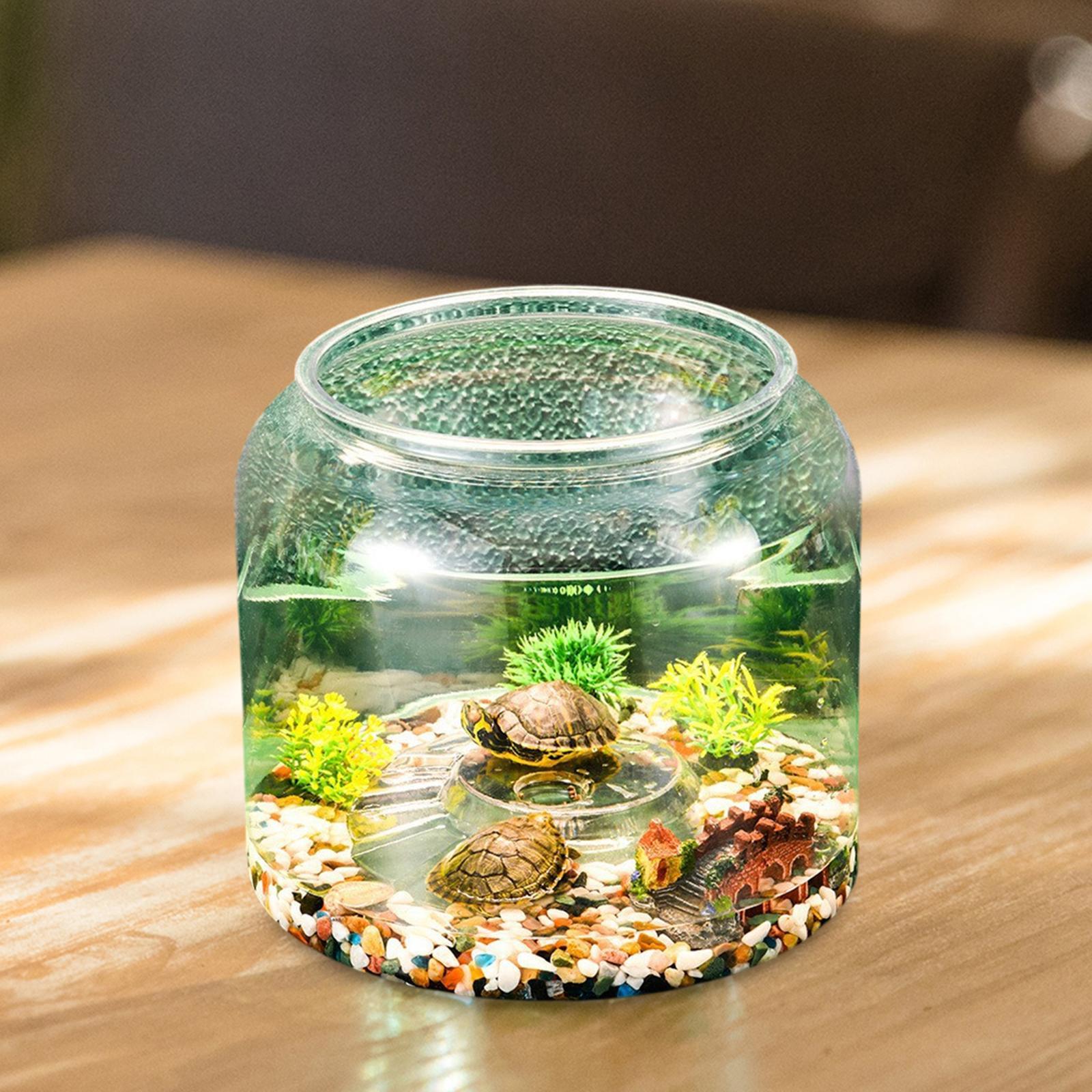 Turtle Tank Tabletop Reptile H - Draw Fish Aquarium recension och pris
