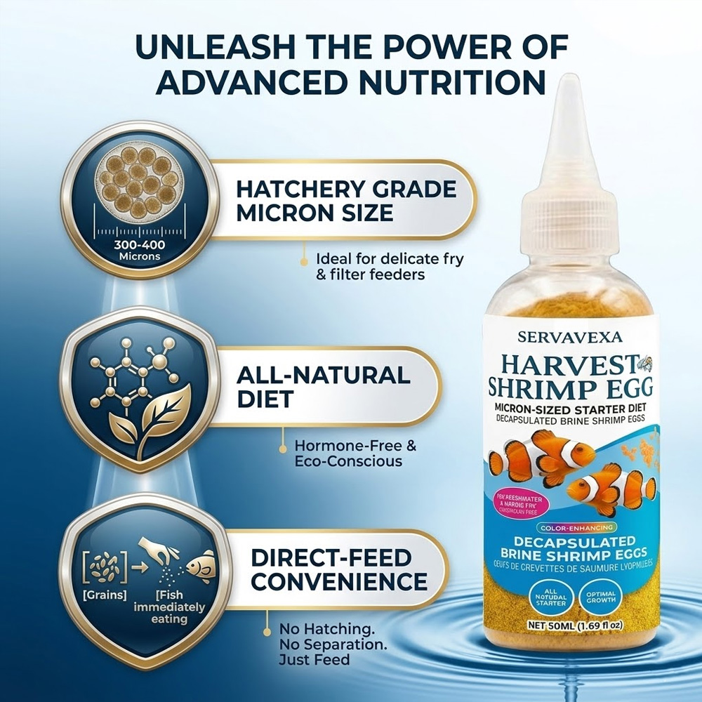 High Protein Fish Food for Bet - Aquarium Fish Eggs recension och pris