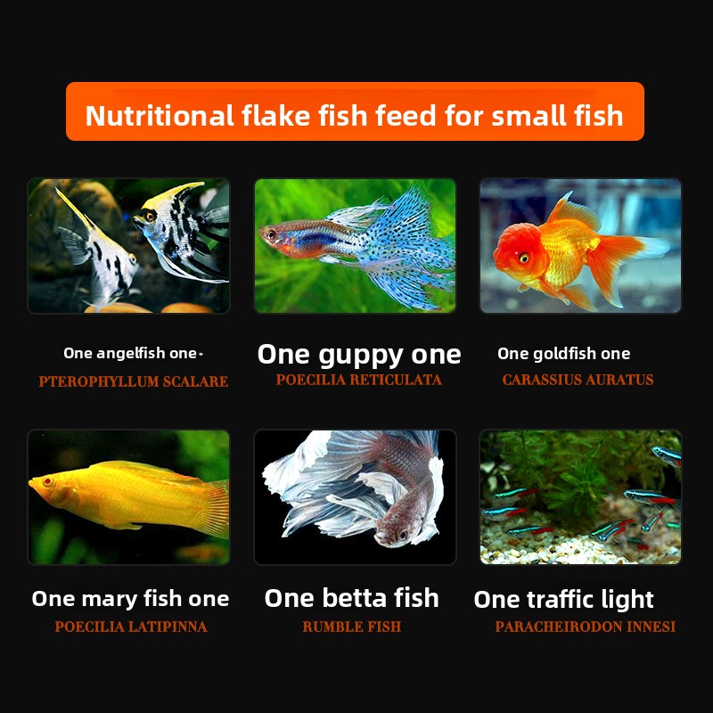 DaJiaWa Spirulina Flake Fish F - Tetra Food Goldfish Flakes recension och pris