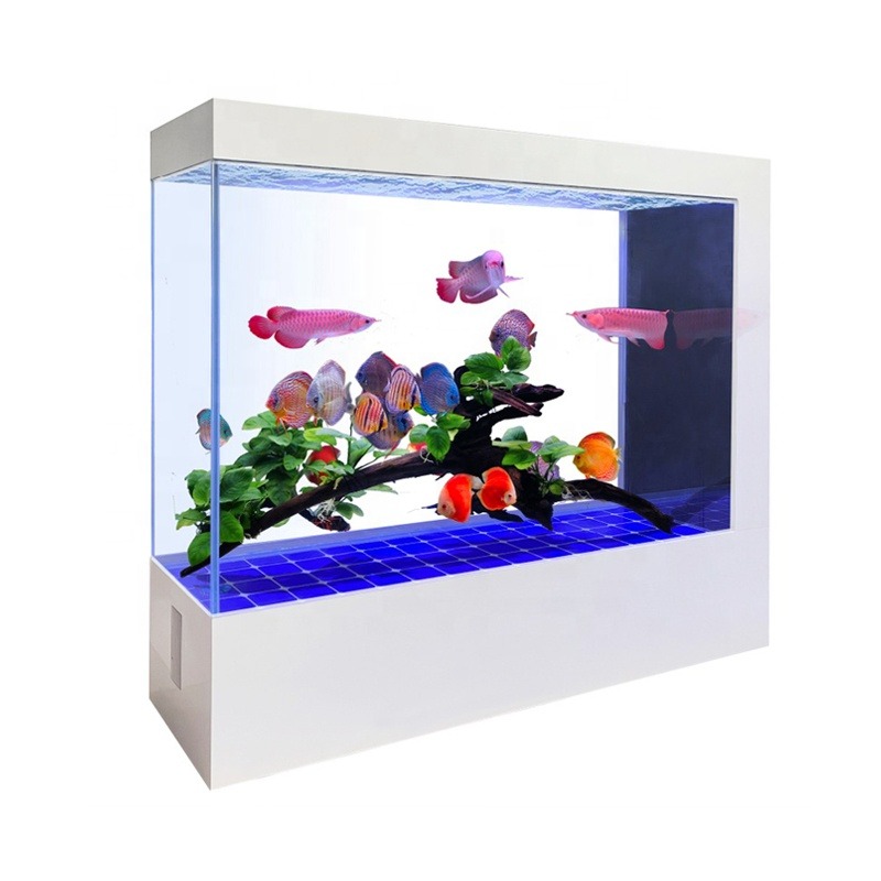 Wholesale Customization Latest - Aquarium Fish And Price recension och pris