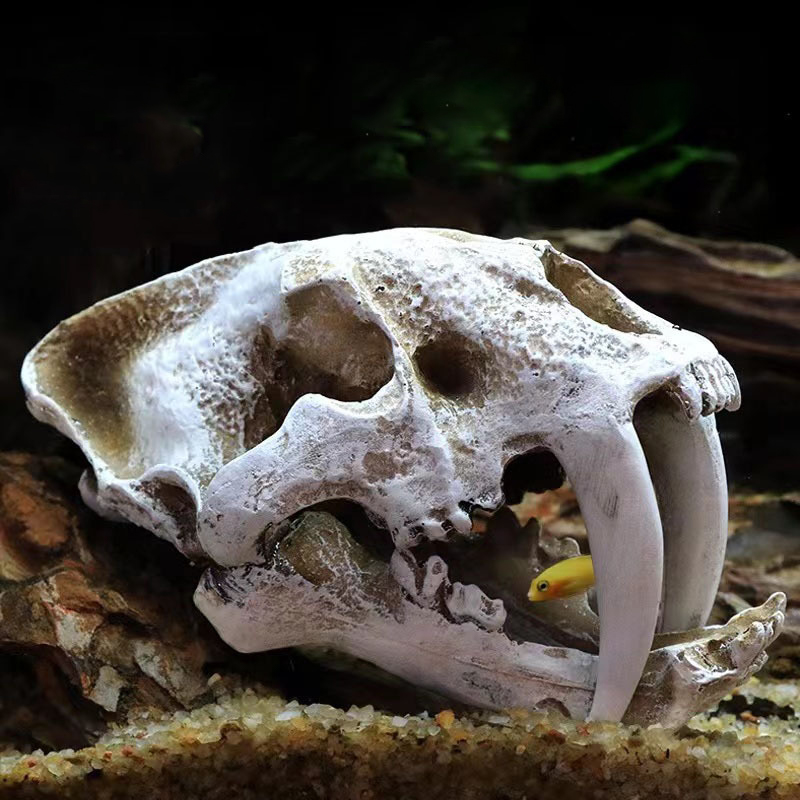 Dinosaur Skull Model Velocirap - Aquarium Fish Diseases recension och pris