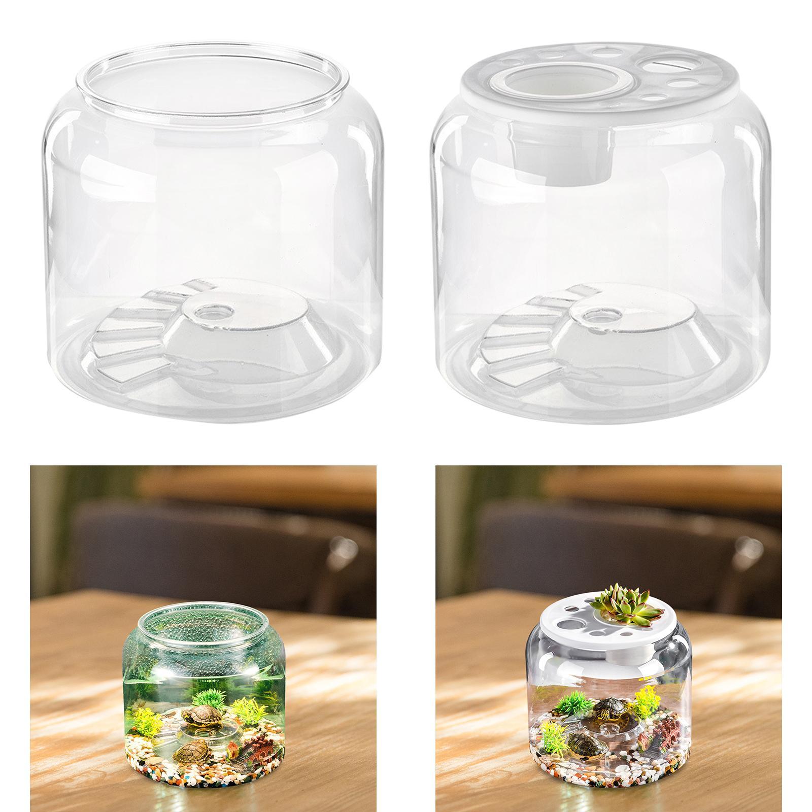Turtle Container High Capacity - Draw Fish Aquarium recension och pris