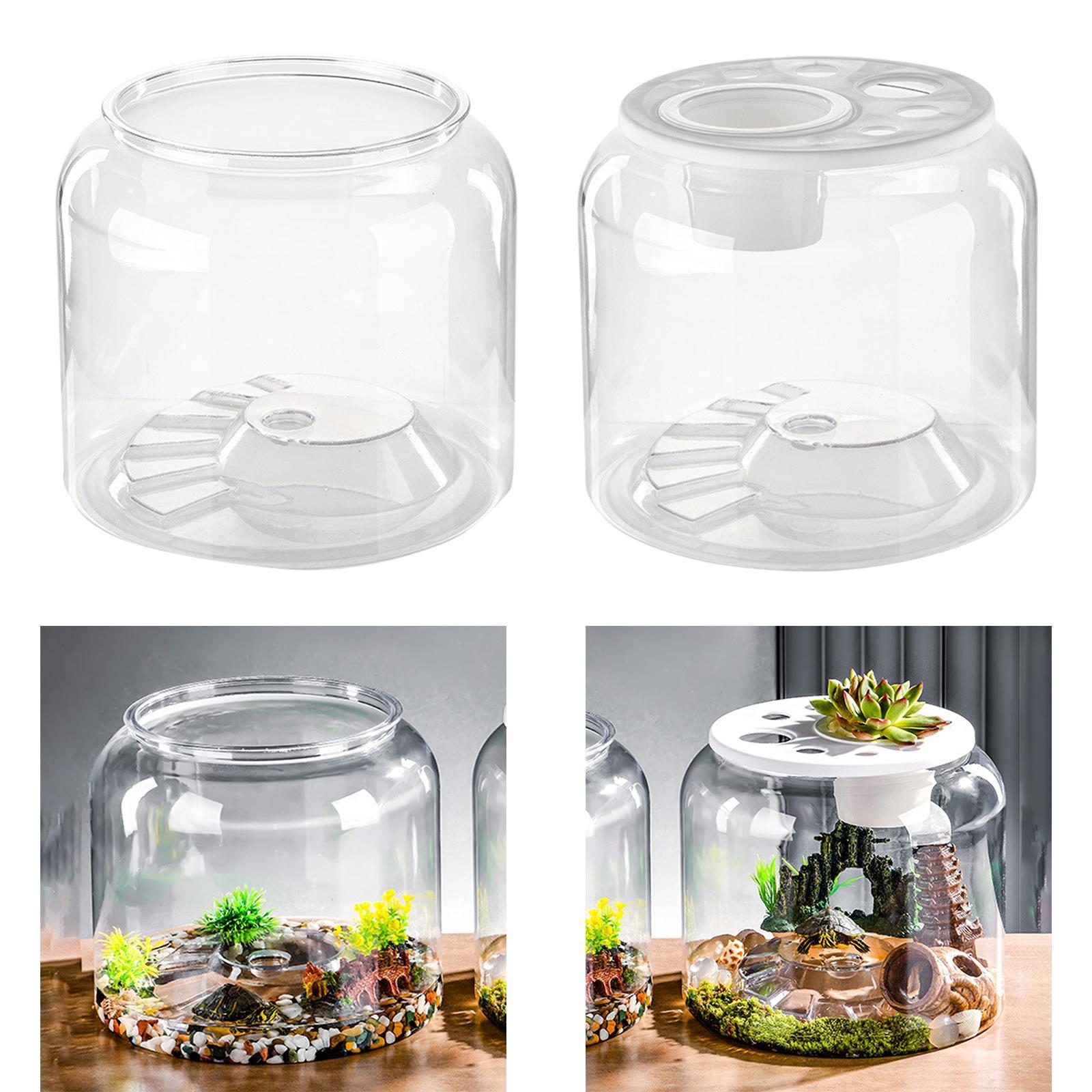 Turtle Container High Capacity - Draw Fish Aquarium recension och pris